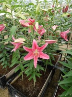 [5351 Vancouver DJ No01.JPG]